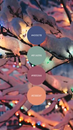 a tree covered in snow with different colored circles on it's branches and lights