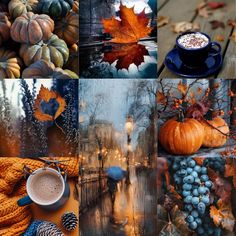 a collage of autumn scenes with pumpkins and leaves