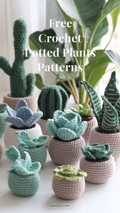 crochet potted plants with text overlay reading free crochet potted plants patterns