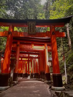 5.31.23 ☆ fushimi inari-taisha, kyoto, japan
ig: fwnss Fushimi Inari Taisha, Kyoto Japan, Kyoto, Japan, Instagram Photos, Photo And Video, Instagram Photo, On Instagram