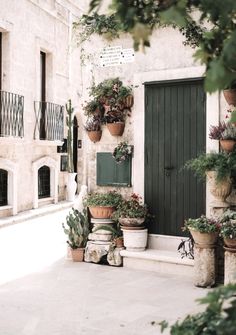 several potted plants on the outside of a building