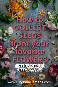 flowers with text overlay how to collect seeds from your favorite flowers free printable seed packet