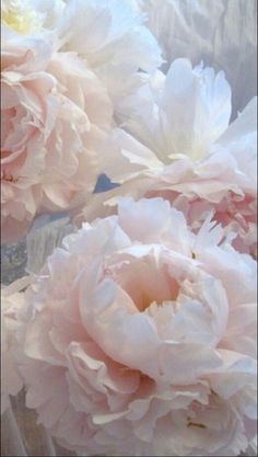 some pink flowers are in a glass vase