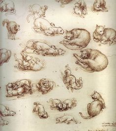 several drawings of cats and mice in various positions