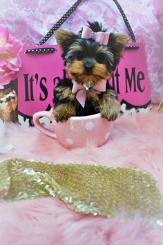 a small dog is sitting in a teacup on a pink rug with gold sequins