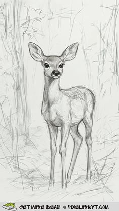 a pencil drawing of a deer standing in the middle of a wooded area with trees