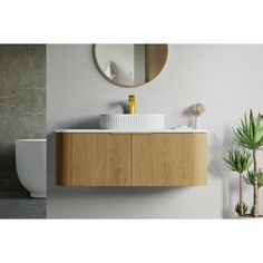 a bathroom with a sink, mirror and potted plant