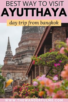 the best way to visit ayithaya day trip from bangkok, thailand with text overlay