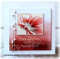 a red and white card with a flower on it that says plant smiles grow laughs harvest loves