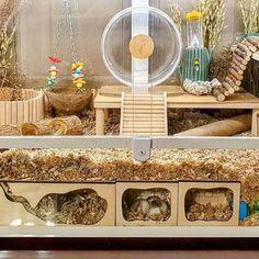 a hamster in a cage filled with lots of wood and other things on display