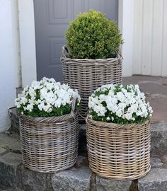 three wicker baskets with white flowers in them