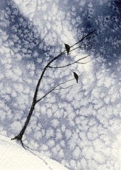 two birds sitting on top of a tree branch in the snow under a cloudy sky