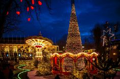 a lit christmas tree in the middle of a park with lots of lights on it