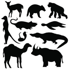 various silhouettes of animals on a white background