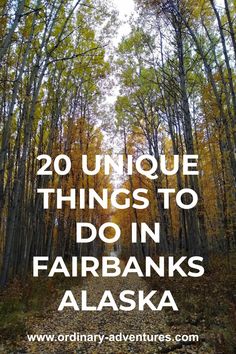 the words 20 unique things to do in farbanks alaska with trees and leaves