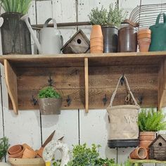 pots and plants are displayed on wooden shelves