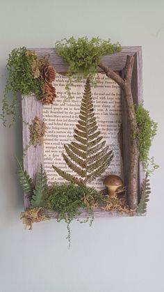 a wooden frame with plants and mushrooms on it