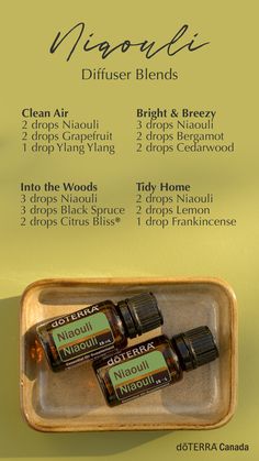 Niaouli Diffuser Blend, Niaouli Essential Oil Uses, Oregano Benefits, Essential Oils Uses Chart, Niaouli Essential Oil