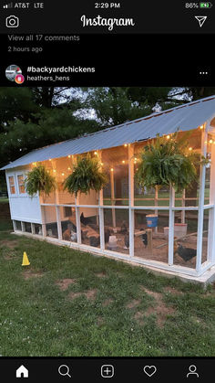 a chicken coop with lights on the roof and chickens in the back yard under it