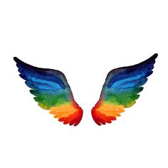 two colorful wings on a white background