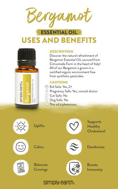 Bergamot Oil Benefits, Essential Oil Blends Bergamot, Balsam Fir Essential Oil Benefits, Benefits Of Turmeric Essential Oil, Bergamot Essential Oil Uses, Benefits Of Bergamot Essential Oil, Essential Oils Dogs, Simply Earth, Bergamot Essential Oil