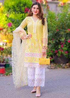 Aaniat Khalid, Organza Printed Dupatta, Chikankari Dupatta, Kameez Designs, Lace Dress Design, Pakistani Dresses Casual, Pakistani Fancy Dresses, Beautiful Pakistani Dresses, Printed Dupatta