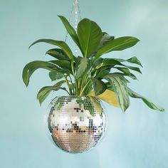 a mirror ball hanging from the ceiling with a plant in it