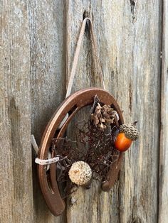 a bird feeder hanging on the side of a wooden fence with mushrooms and other things in it