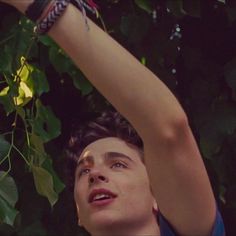 a young man reaching up to pick leaves from a tree