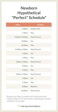 a flyer for the newborn and toddler's hypothical schedule, which includes