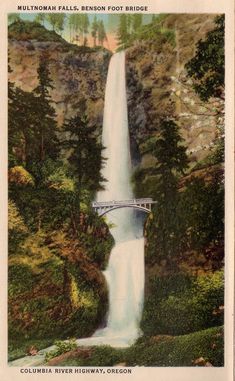 an old postcard shows a waterfall and bridge in the mountains above it, with trees on either side