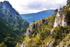 the mountains are covered with trees and rocks