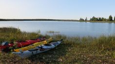 two kayaks sitting on the shore of a lake