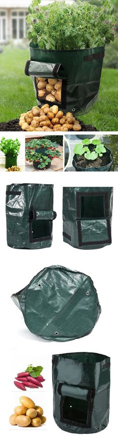 several pictures of different types of vegetables and plants in plastic bags on the ground, with text overlaying them