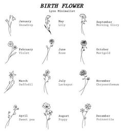 the birth flower chart is shown in black and white