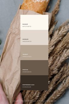 Luxury colour palettes for your brand or Squarespace site Website Color Schemes, Canva Instagram Templates, Website Color Palette, Pantone Colour Palettes, Color Design Inspiration, House Color Palettes, Modern Color Palette, Earthy Color Palette, Brand Color Palette