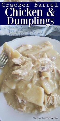 a white plate topped with chicken and dumplings