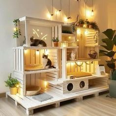 two cats sitting on top of wooden crates in a room with plants and potted plants