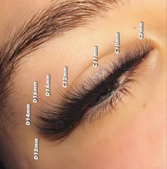 C And D Curl Eyelash Extensions, Foxy Lash Extensions Mapping, Lash Map Wispy Cat Eye, Doll Eye Lashes Extensions Map, Fox Eye Lash Extensions Mapping, Fox Eye Lash Extensions, Eyelash Extensions Classic, Eyelash Studio, Natural Fake Eyelashes