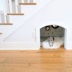 a dog is laying down in his house under the stairs