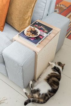 a cat laying on the floor in front of a couch with a book on it