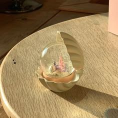 an egg shell shaped like a fish bowl on a table