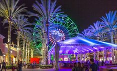 people are walking around in front of an illuminated ferris wheel at night time with palm trees