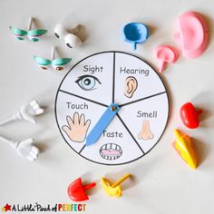 a clock with different parts of the body on it, including hands and fingers to help children learn sight words