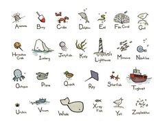 an image of different types of animals and their names on a white background with the words,