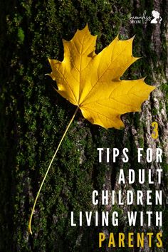 a yellow maple leaf sitting on top of a moss covered tree trunk with the words tips for adult children living with parents