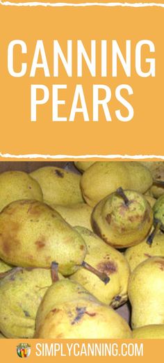 a pile of yellow pears with the words canning pears on it's side