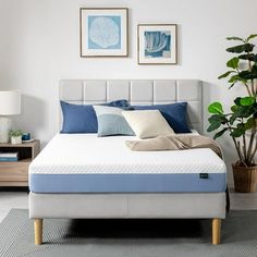 a bed with blue and white pillows in a bedroom next to a potted plant