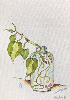 a watercolor painting of a glass jar with a green plant in it on a table