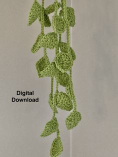 a crocheted plant hanging from a hook with the words digital download above it